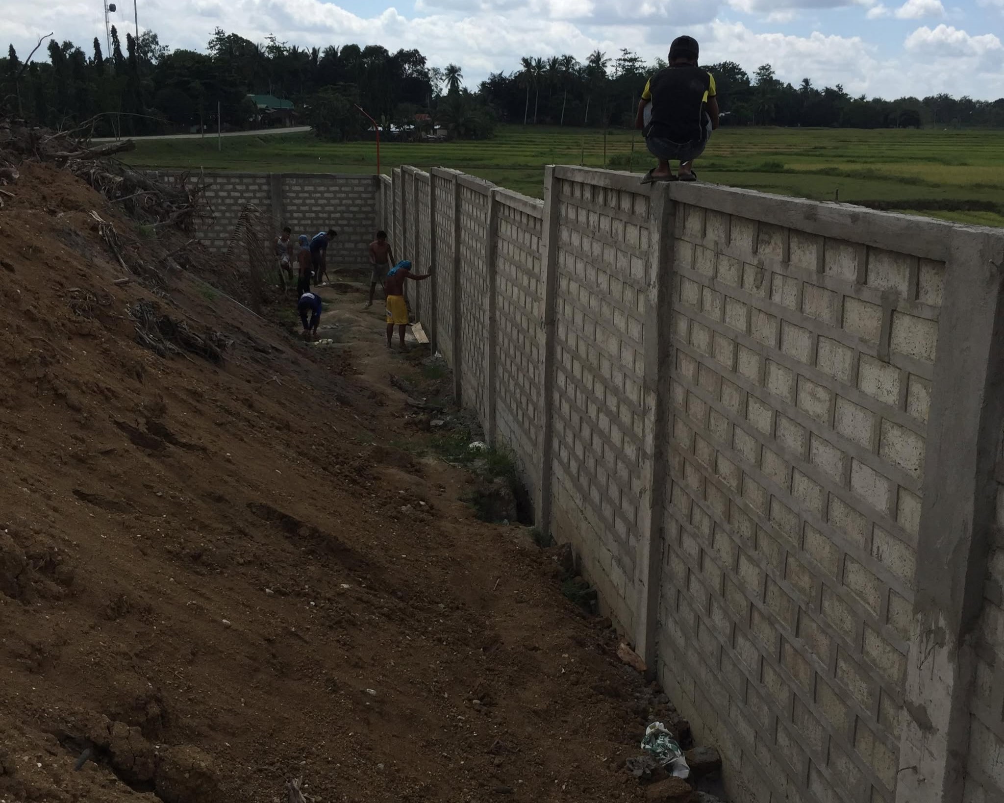 Column Reinforcement